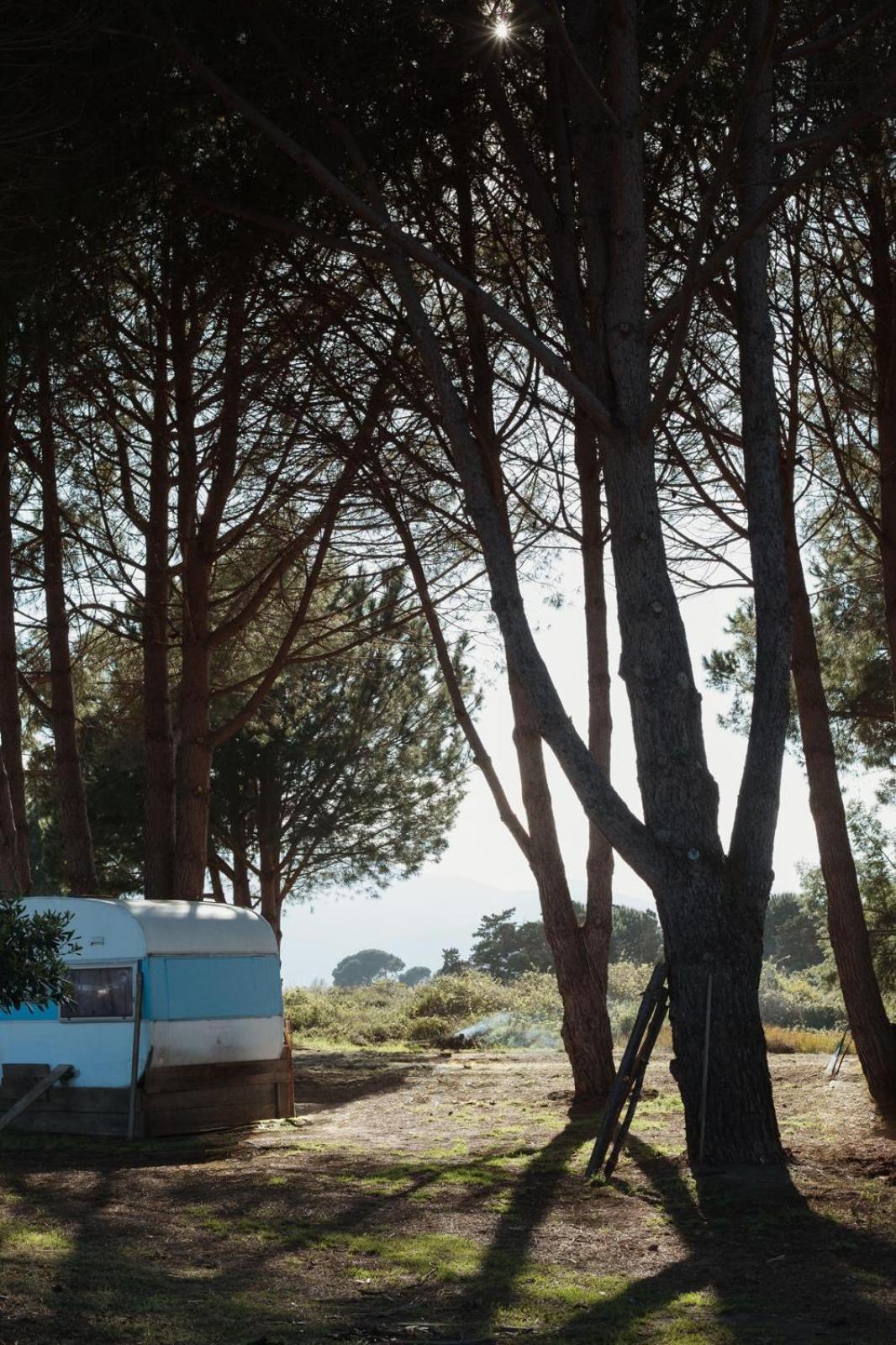 Caravane Janis On The Beach Lucciana  Exterior foto